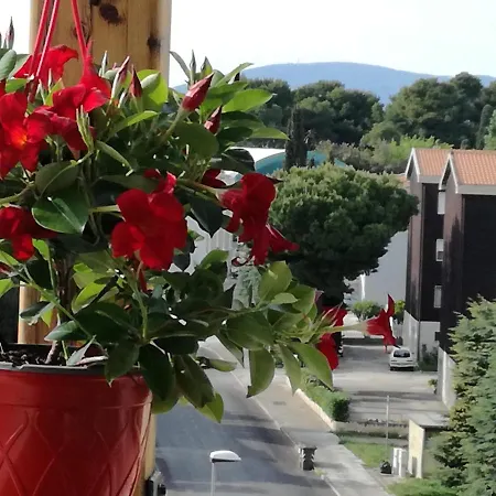 Nel Blu Dipinto Di Blu