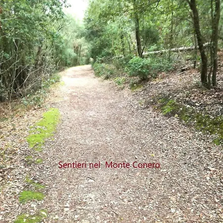 Nel Blu Dipinto Di Blu Lägenhet Porto Recanati